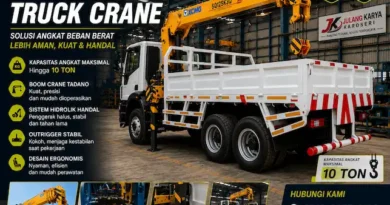 crane 10 ton